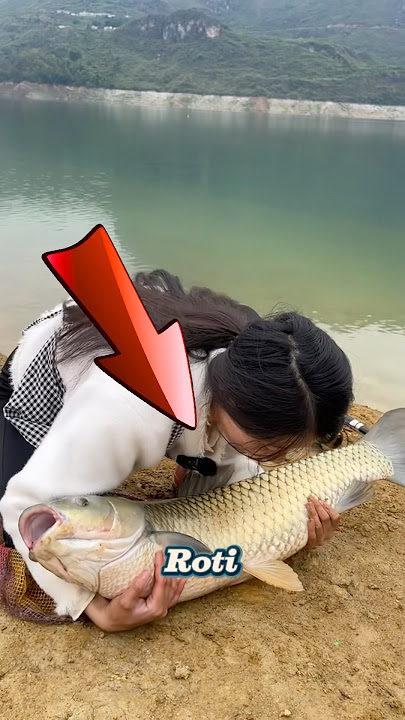 Menangkap ikan combro betina #short #menangkapikan #mancing #mancingmantap