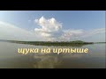 иртыш и щука