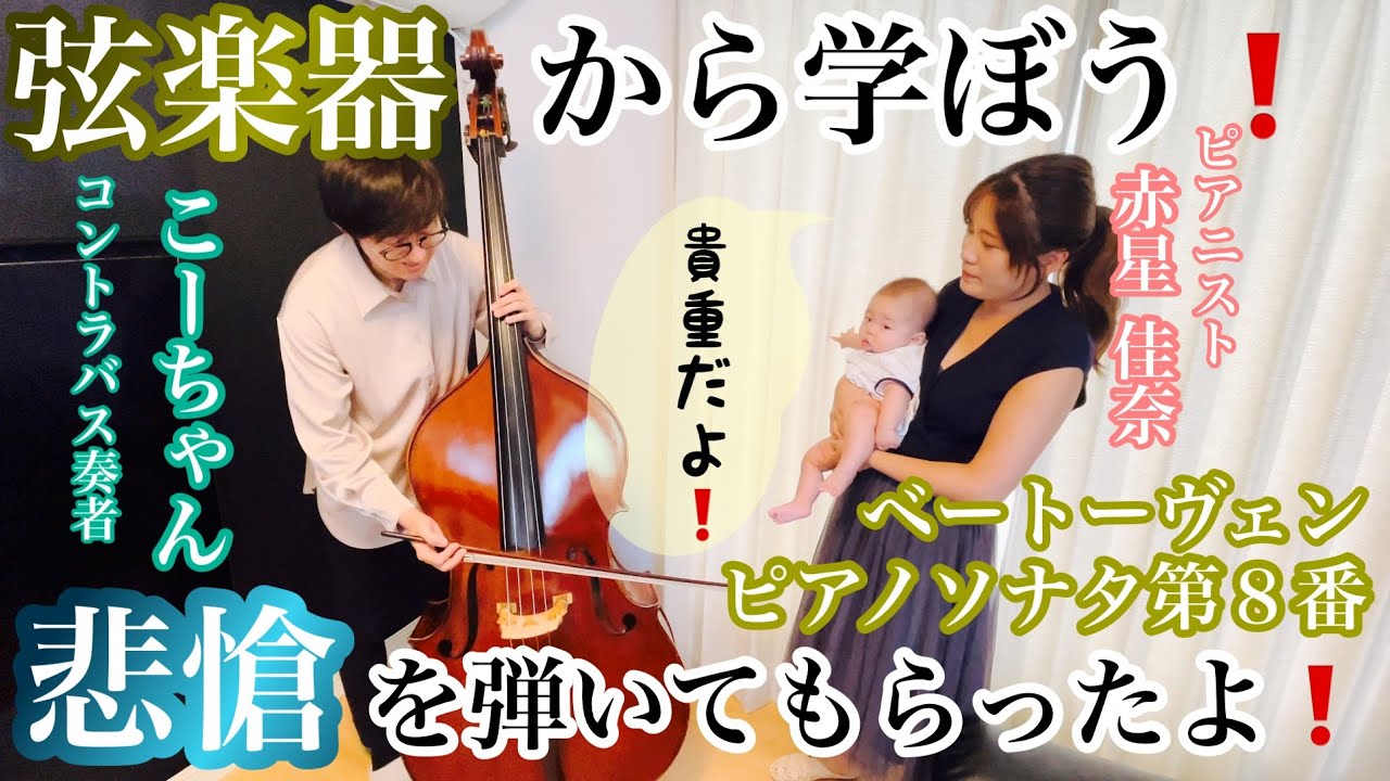弦楽器から学ぼう】「悲愴ソナタ」をコントラバスで弾いてもらったよ
