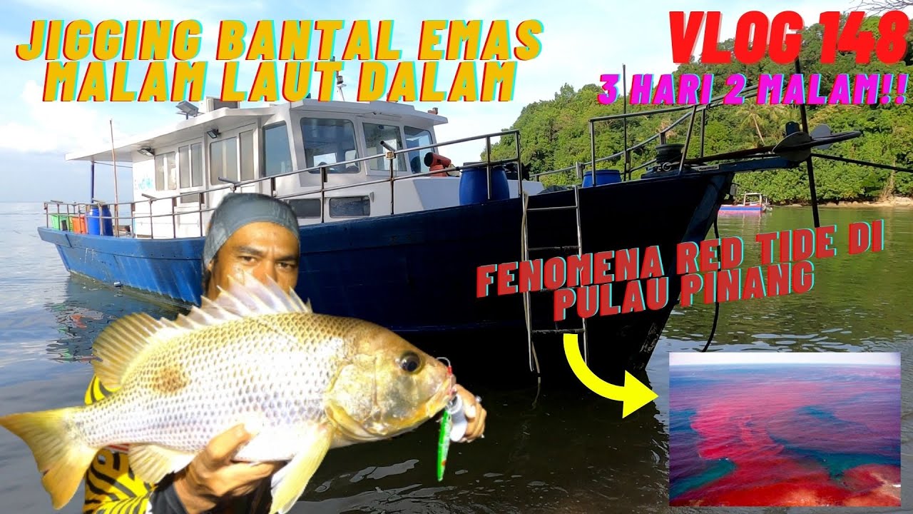 VLOG 148 | TEKNIK JIGGING JENAHAK MALAM | TRIP LAUT DALAM PENANG | RED TIDE | SUMMERWIND
