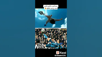 كارتون كابتن ماجد في الحقيقة 