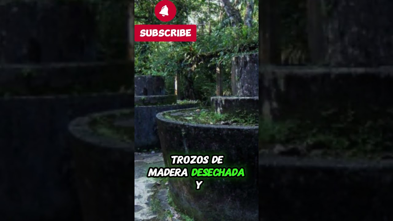 FUGA DE LA ISLA PRISION COLOMBIANA #historia #colombia