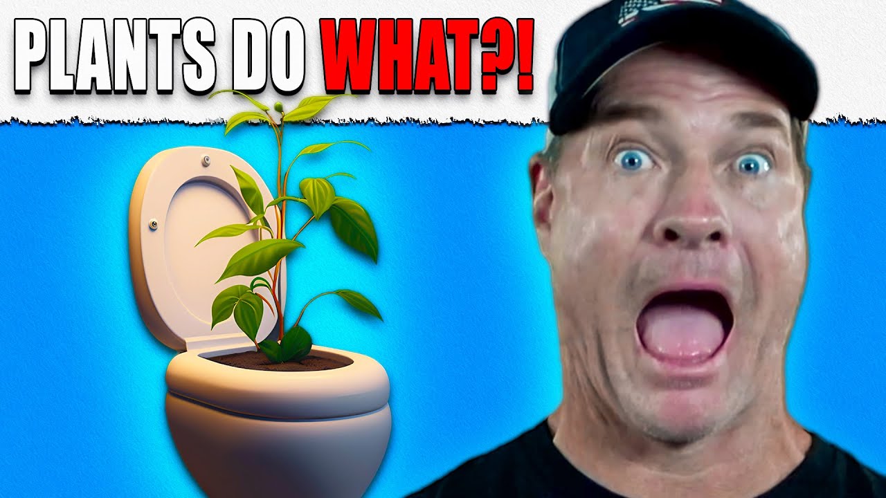 Plant Based Diets Do This To Your Poop... YouTube