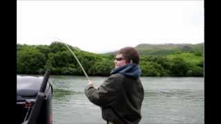 Alaska King Salmon