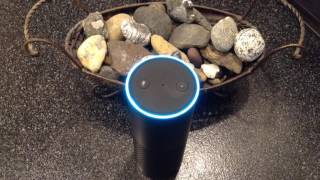 AMAZON ECHO (ALEXA) ORIGINAL RAP!