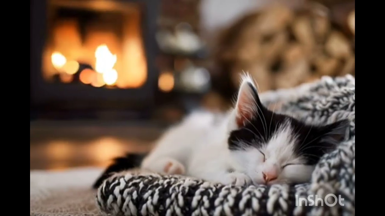 Sitting by the fire by Tanya