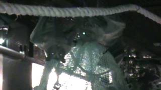 Batworld-Sweetpotato.avi