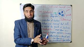 what is Neutrophils?| what is polymorphonuclear Neutrophils?|DLC (differential leucocytes count)