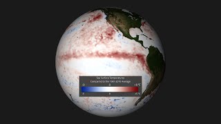 August 2015 Sea Surface Temperature Anomalies