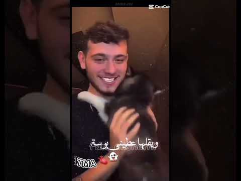 الشامي بشبوش عاشق