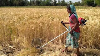 सभी फसल काटने की मशीन मात्र ₹11,500 में |📞9770639577 || Crop harvesting machine. by Egyan Farm Machine 169,818 views 4 years ago 2 minutes, 47 seconds