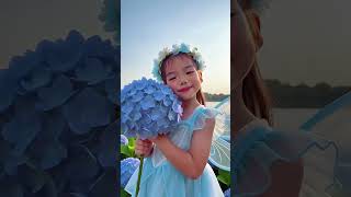 Flowers and Colors