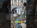 Modern Epoxy Flooring with Gem and River Stones #epoxy #interiordesign #homedesign #shorts