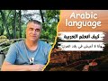 كيف أتعلم العربية وأنا لا أعيش في بلاد العرب نصائح تفيد في تعلم كل اللغات How Do I Learn Arabic 