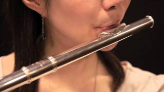 The Structure of the Flute:How is the sound produced? - Musical Instrument  Guide - Yamaha Corporation