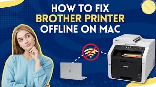 How to Fix Brother Printer Offline on Mac? | Printer Tales
