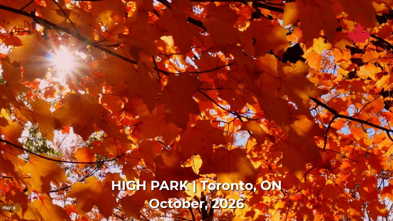 Relaxing Autumn Colors in High Park Toronto • 4K Fall Foliage, Wildlife ...