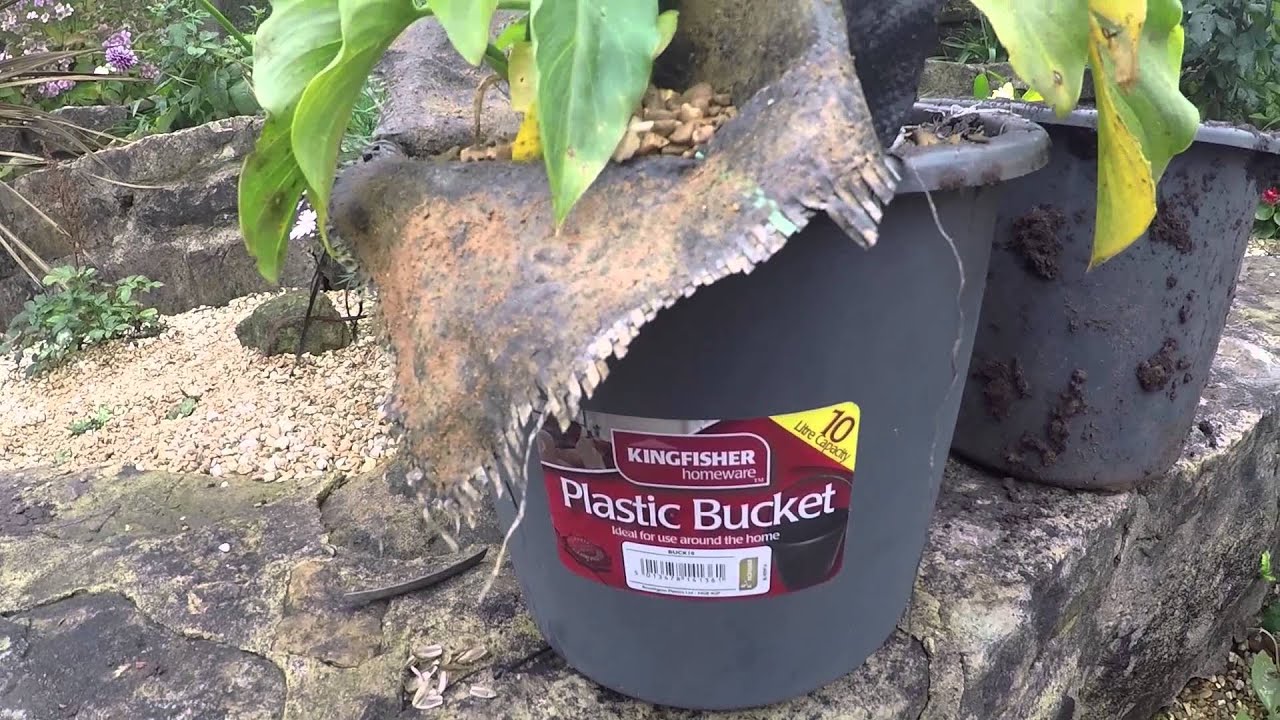 MAKE YOUR GARDEN LOOK GOOD ALL YEAR YouTube make-your-garden-look-good-all-year-youtube