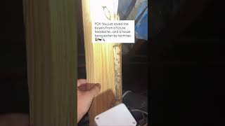Home inspection termites #homeinspection #homeinspector #realestate #pestcontrol #termites #diy