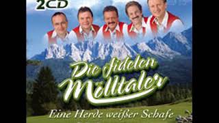 Die fidelen Mölltaler - Ohne Dich