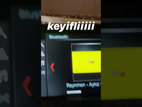 Reynmen arabada Aykız