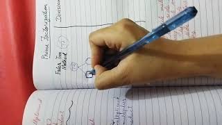 Factor Tree Method VS Division Method