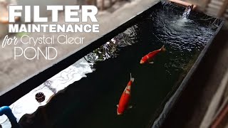 DIY POND FILTRATION SYSTEM MAINTENANCE