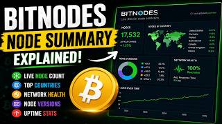 How to Read Bitnodes Node Summary | Bitcoin Node Analysis 2026