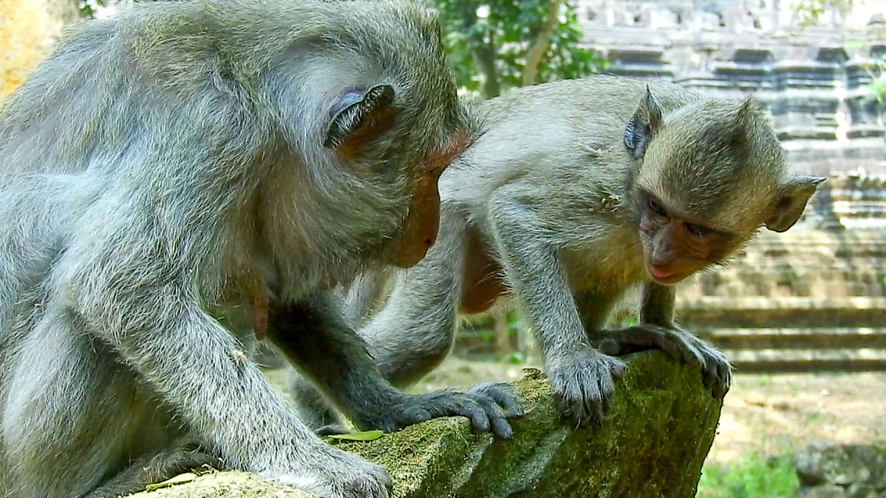 OMG..JAVOR made old JADE decided took her trouble action while she tried explored milk was blocked.