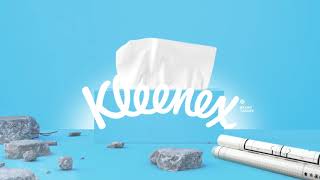Kleenex - LIFESTYLE Home Renovation