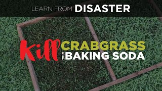 Baking Soda to Kill Crabgrass: What About My 