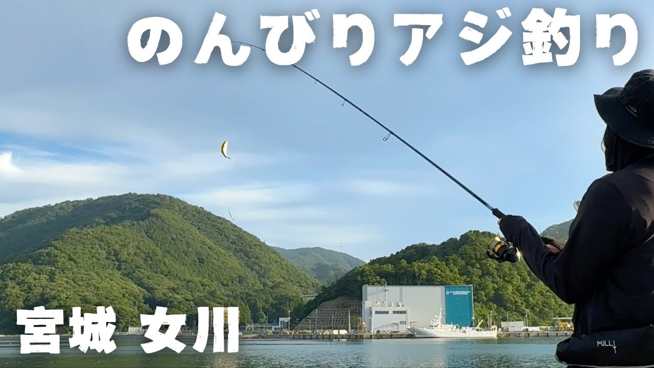 【宮城釣り】女川でアジが大漁。それを泳がせるとまさかの大物が…