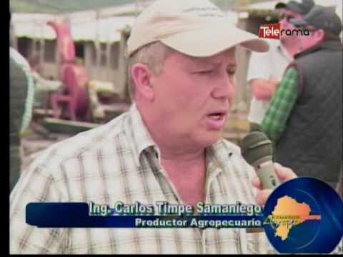 Ecuador Agropecuario 13-07-2016