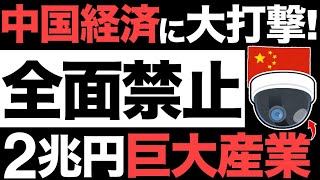 衝撃中国経済に大打撃中国製を使用禁止2兆円の巨大産業が崩壊する防犯カメラ