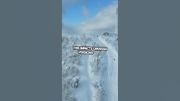 OpenSSH Versions Vulnerable to Remote Code Execution