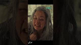 Kaale Kartootan Vich Main Shamil Saa #samiyamumtaz #mahirakhan #wahajali #junaidkhan #shorts