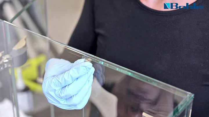 Bohle TwinLED UV bonding demonstration - 天天要闻