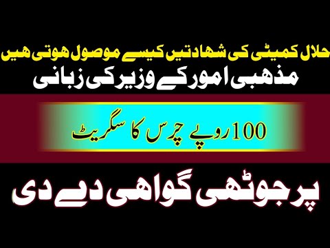 حلال وحرام کمیٹی کی شہادتیں کیسے موصول ہوتی ہیں #eid #2024