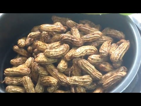 Video: Cara Memasak Sup Kacang Dalam Periuk Tekanan