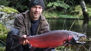 Salmon Fishinglachs Angeln On Haida Gwaii