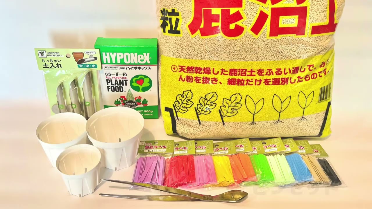 開始5日で完売！「白色のスリット鉢3号」を Webサイトにて9月25日から