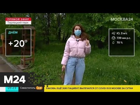 "Утро": до 20 градусов тепла ожидается в Москве в четверг - Москва 24
