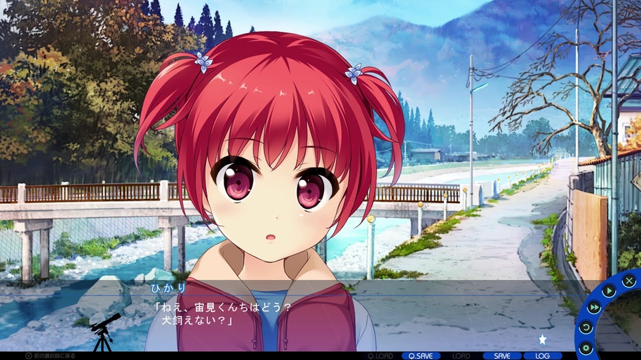 見上げてごらん 夜空の星を 箒星ひかり 幼少期 紹介ムービー Youtube