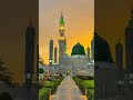 | الرادود هادي فاعور | Ahwarun AhwarunArabic Nasheed #shorts #islamicmusic#islamicmusic #lifeadream