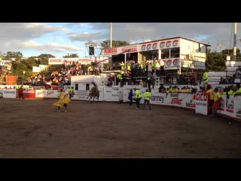 Toros pedregal 31,12,15