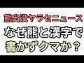 街中熊出没ヤラセニュース　マスコミはなぜ熊と漢字で書かずクマと表記する？