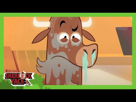 🐦 Who Made the Parrot Sneeze? 🤧| Sherlock Yack | Cartoons for Kids