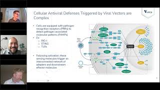 Viral Vector Manufacturing — Are Antiviral Defenses the Missing Link to Scalability