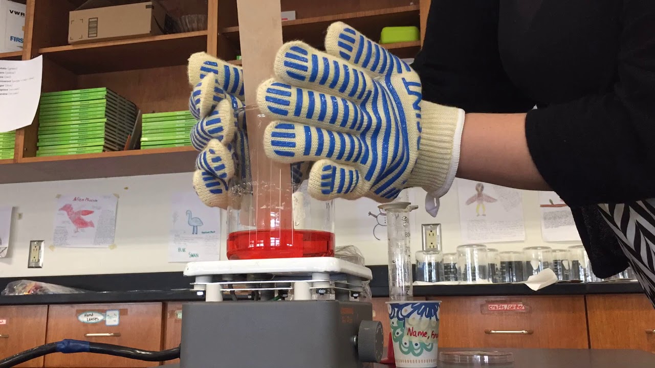 holding a beaker on the hotplate YouTube