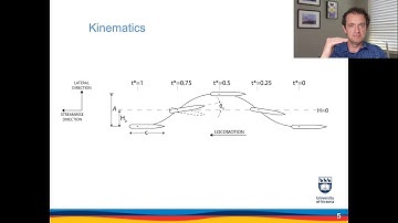 Effect of Chordwise flexibility on Propulsive Performance of High-Inertia Oscillating Foils